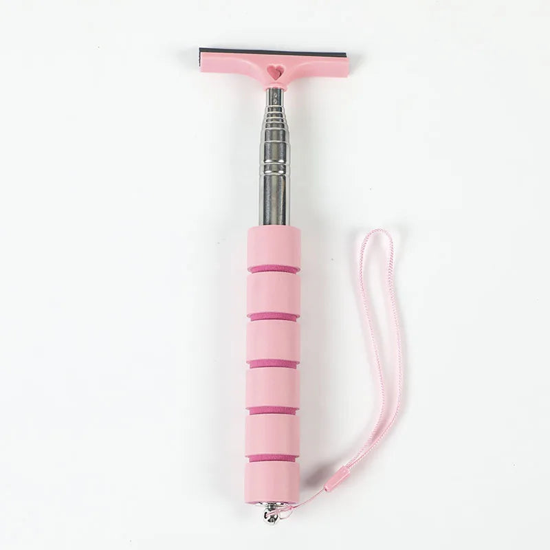 The RainReach: Telescopic Mirror Squeegee